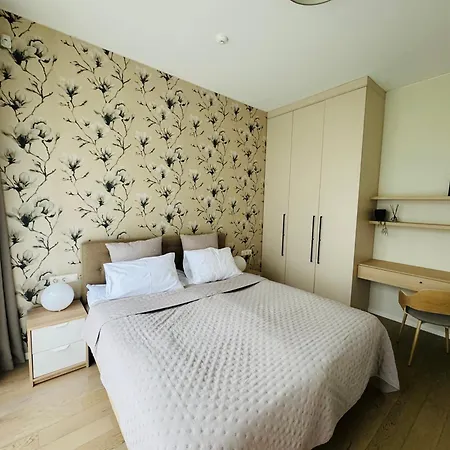 Moon Apartment Druskininkai